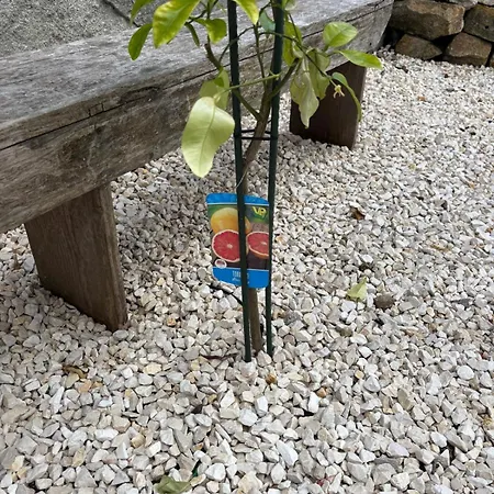 Apartmán Chic Loft With Garden, Sleeps 4