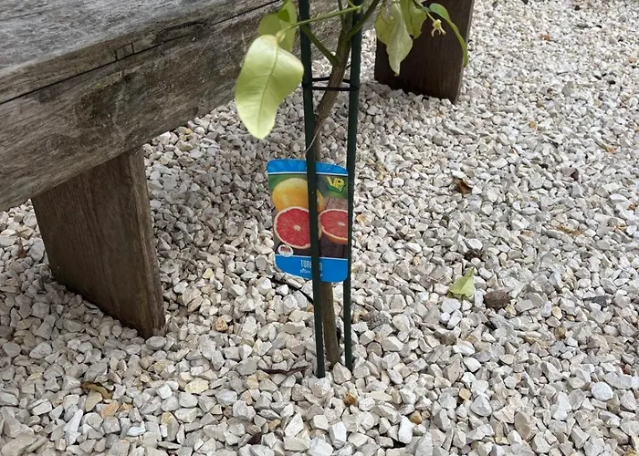 Διαμέρισμα Chic Loft With Garden, Sleeps 4